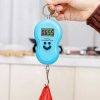 Electronic Digital Hanging Scale With LCD Display